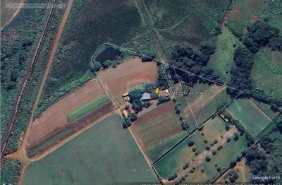 Fazenda à venda na Rodovia Professor Zeferino Vaz, 1050, Betel, Paulínia