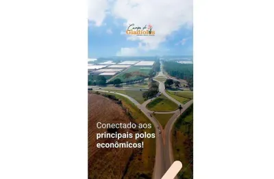 Campo de gladiolos condominio comercial e industrial de holambra