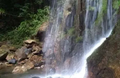 Chácara / sítio com 6 quartos à venda em Pirabeiraba, Joinville 