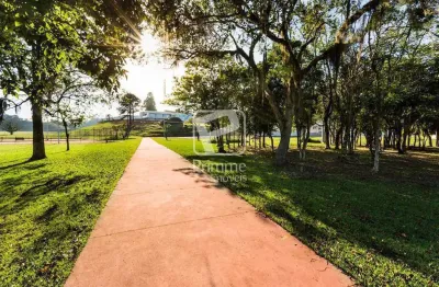 Lote no condomínio caledônia residence, cedro, camboriú - sc