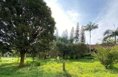 Terreno à venda, 446100 m² por r$ 1.990.000,00 - barrancos - garuva/sc