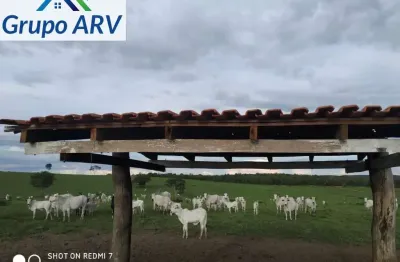 Fazenda à venda na estrada municipal, centro, bom jesus do araguaia por r$ 63.000.000