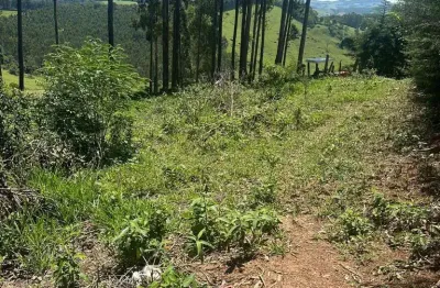 Terreno à venda na Estrada Municipal, 0002, Pitangueiras, Pedra Bela