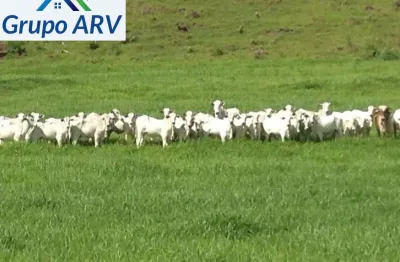 Fazenda à venda na Estrada Municipal, 00, Zona Rural, Mutum