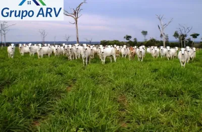 Fazenda à venda na Estrada Municipal, Zona Rural, Diamantino
