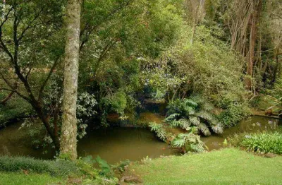 Terreno residencial à venda, rio abaixo, mairiporã - te0259.
