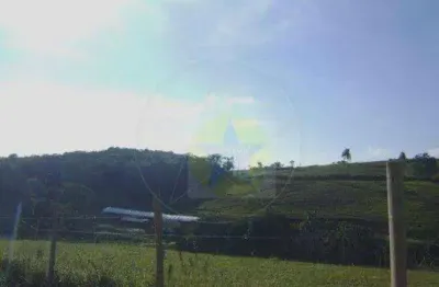 Área à venda, 42000 m² por r$ 2.730.000,00 - campo dos aleixos - jarinu/sp