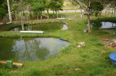 Chácara à venda, 5000 m² por r$ 720 mil, piracaia sp