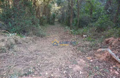 Sítio à venda, 28000 m² por r$ 200.000,00 - bairro dos prados - camanducaia/mg