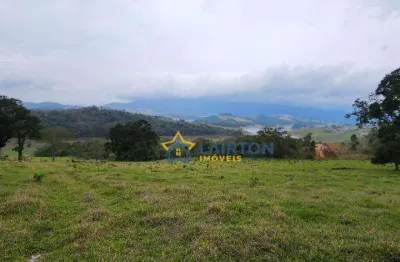 Sítio à venda, 20000 m² por r$ 750.000,00 - peão - piracaia/sp