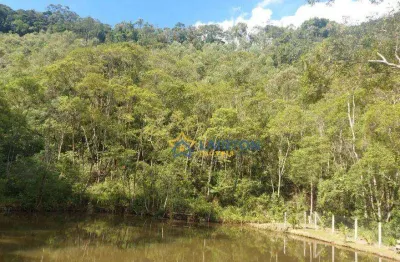 Sítio de 2 alqueires à venda em nazaré paulista, sp