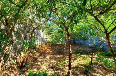 Terreno disponível para venda no bairro nova cerejeiras!