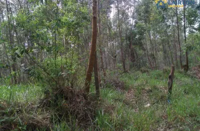 Sítio à venda, 20000 m² por r$ 1.000.000,00 - guaripocaba - bragança paulista/sp