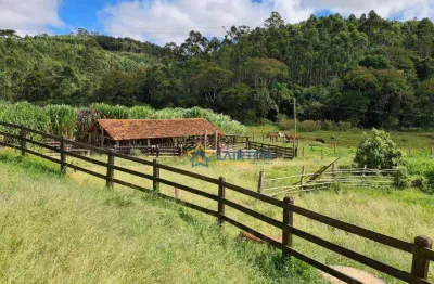 Sítio espetacular de 21 alqueires à venda em piracaia - um refúgio de paz perto de são paulo