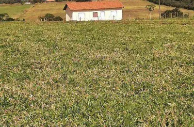 Chácara / sítio com 2 quartos à venda na Zona Rural, Porto Feliz 