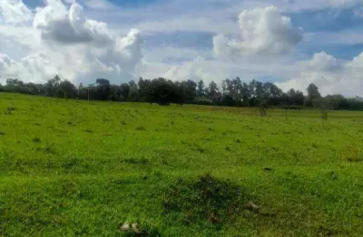 Chácara / sítio com 2 quartos à venda na Zona Rural, Porto Feliz 
