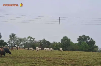 Fazenda com 1 sala à venda na Zona Rural, Araçoiaba da Serra 