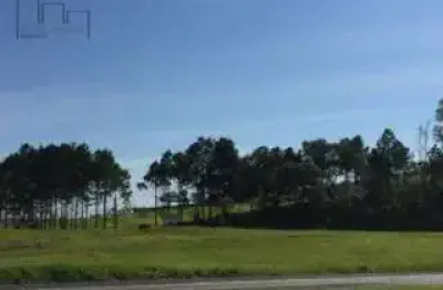 Área, 10900 m² - venda por r$ 3.900.000,00 ou aluguel por r$ 10.000,00/mês - vila artura - sorocaba/sp