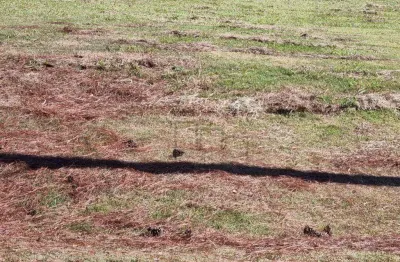 Terreno à venda, 1000 m² por r$ 350.000,00 - condomínio vivendas do lago - sorocaba/sp