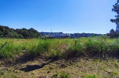 Terreno à venda no São Luiz, Caxias do Sul 