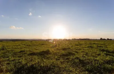 Chácara / sítio com 1 quarto à venda na Estrada Mato Grosso, 32, São Luiz do Purunã, Balsa Nova por R$ 3.900.000