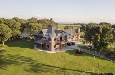 Chácara / sítio com 5 quartos à venda na mato grosso, 20, são luiz do purunã, balsa nova por r$ 8.900.000