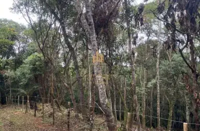 Terreno em condomínio fechado à venda na Estrada da Barragem, Caputera, Cotia