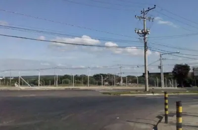Terreno residencial para locação, recreio campestre jóia, indaiatuba - te0155.
