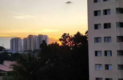 Apartamento 3 dormitorios, 1 suite à venda, vila augusta, próximo ao shopping internacional reformado