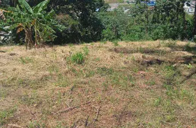 Área à venda, 10000 m² por r$ 14.000.000,00 - três cruzes - são paulo/sp