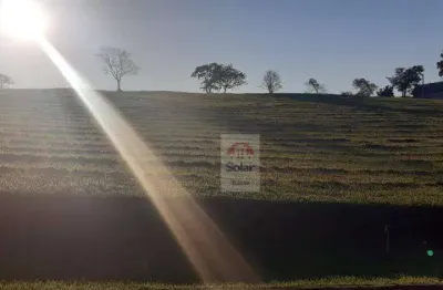 Terreno à venda, 1150 m² por r$ 266.000,00 - chácara são félix - taubaté/sp