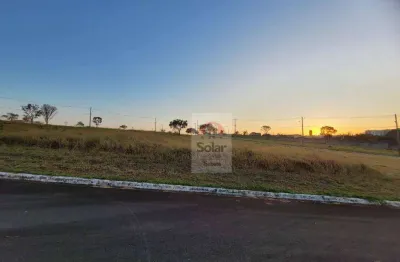 Terreno à venda, 564 m² por R$ 260.000,00 - Campos do Conde Taubaté - Taubaté/SP