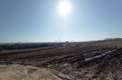 Fazenda com 1 dormitório à venda, 1210000 m² por r$ 9.000.000,00 - paredão vermelho - piracicaba/sp