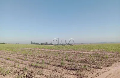 Fazenda com 1 dormitório à venda, 1210000 m² por r$ 9.000.000,00 - paredão vermelho - piracicaba/sp