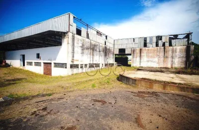 Galpão, 5000 m² - venda por r$ 12.800.000,00 ou aluguel por r$ 100.000,00/mês - vila rezende - piracicaba/sp