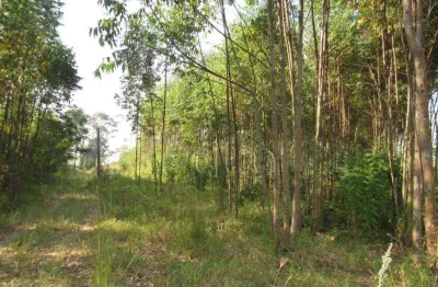 Área à venda, 45000 m² por r$ 2.250.000,00 - santa luzia - charqueada/sp