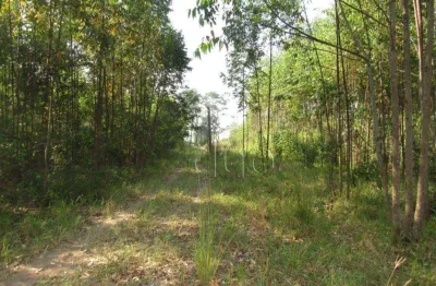 Área à venda, 45000 m² por r$ 2.250.000,00 - santa luzia - charqueada/sp
