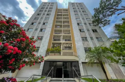 Apartamento três quartos, suíte, elevador, uma vaga - centro, rua dr. constantino paleta