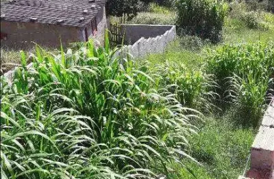 Terreno à venda na Rua Teófilo Otoni, Jardim Japão (Caucaia do Alto), Cotia