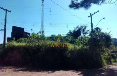 Terreno à venda, 452 m² por r$ 160.000,00 - jardim são joão - francisco morato/sp