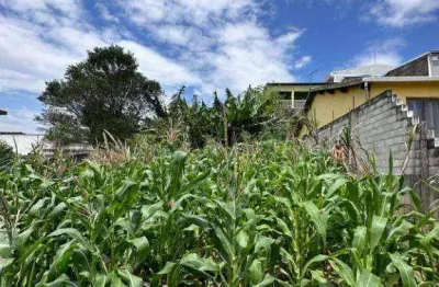 Chácara com 2 dormitórios à venda, 500 m² por r$ 370.000 - centro - embu-guaçu/sp