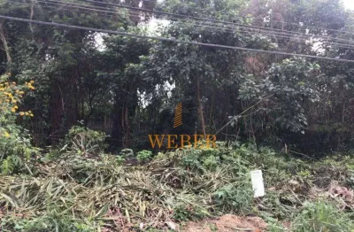 Terreno à venda, 500 m² por r$ 275.000,00 - jardim colibri - cotia/sp