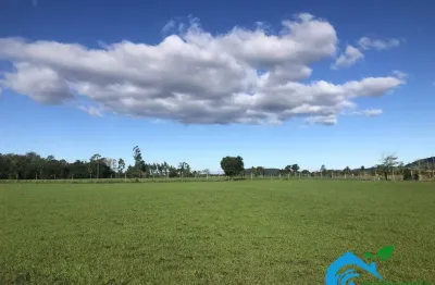 Imóvel rural a venda, 46 hectares, com pista de pouso, paulo lopes sc.