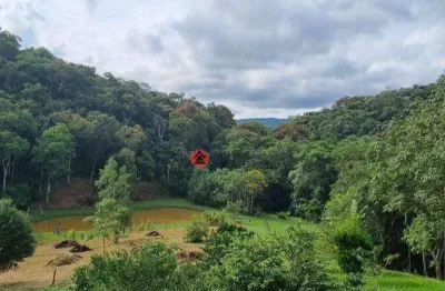 Sítio à venda, 43000 m² por r$ 980.000,00 - são lourenço da serra - são lourenço da serra/sp