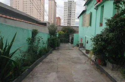 Terreno à venda, 390 m² por r$ 1.300.000,00 - vila gomes cardim - são paulo/sp