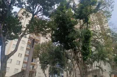 Espetacular apartamento tipo para venda em lauzane paulista com 2 quartos, 52m²