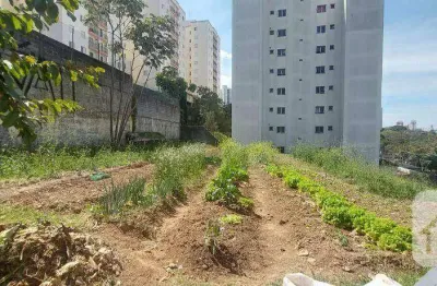 Terreno à venda, 2440 m² por r$ 11.660.000,00 - favela vila nova jaguaré - são paulo/sp
