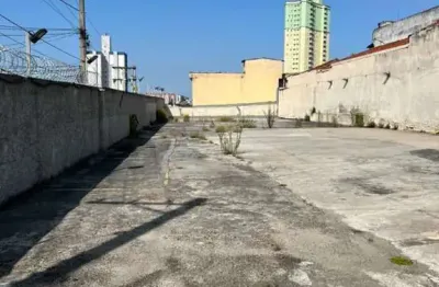 Terreno, 750 m² - venda por r$ 2.200.000,00 ou aluguel por r$ 9.000,00/mês - vila príncipe de gales - santo andré/sp