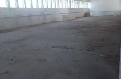 Galpão para alugar, 750 m²- jardim jamaica - santo andré/sp