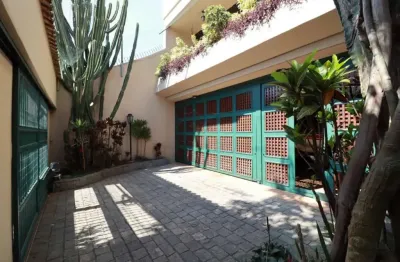 Casa com 4 quartos para alugar na Vila Assunção, Santo André 